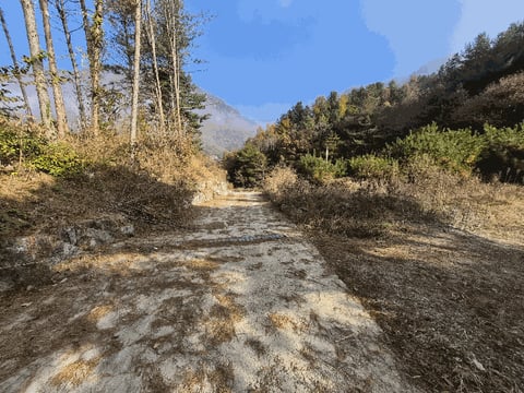물건 사진 29