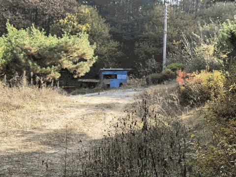 물건 사진 31