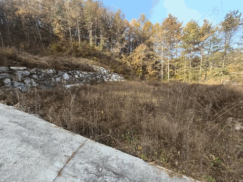 물건 사진 36