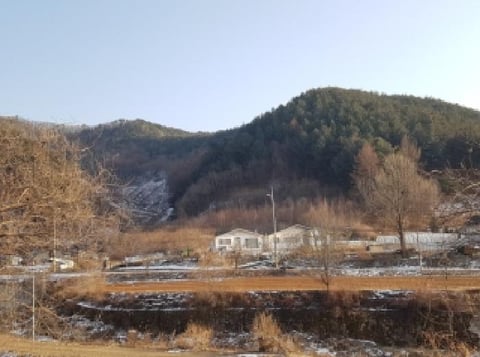 물건 사진 2