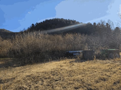 물건 사진 4