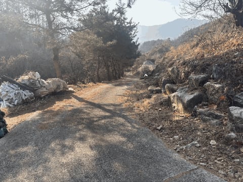 물건 사진 13