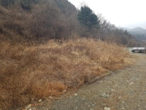 물건 사진 1