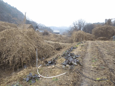 물건 사진 13