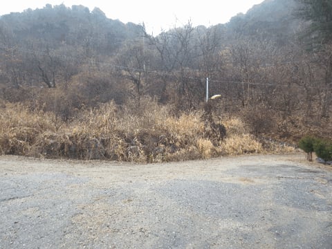 물건 사진 14