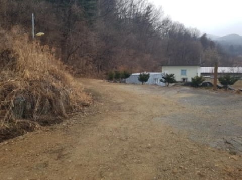 물건 사진 7