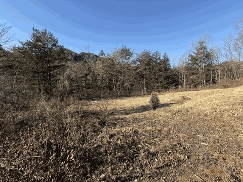 물건 사진 10