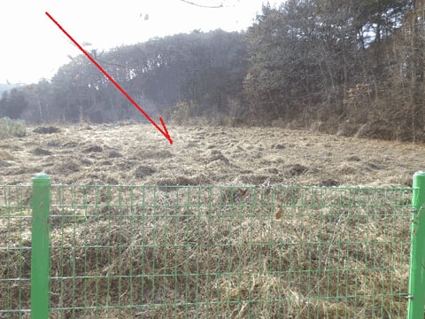 물건 사진 11