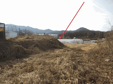 물건 사진 12