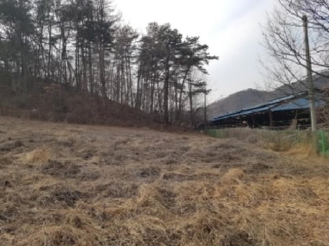 물건 사진 5