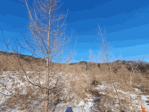 물건 사진 7