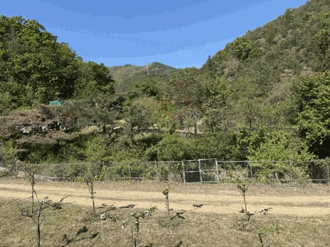 물건 사진 25