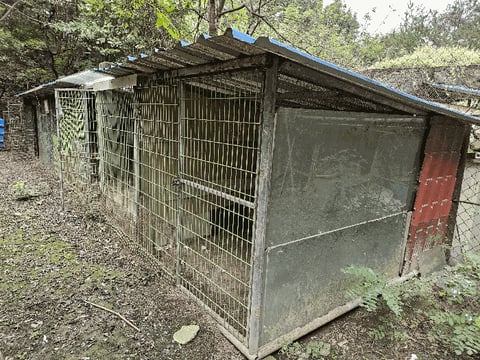 물건 사진 62