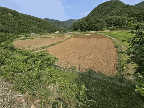 물건 사진 16