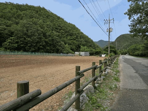 물건 사진 21