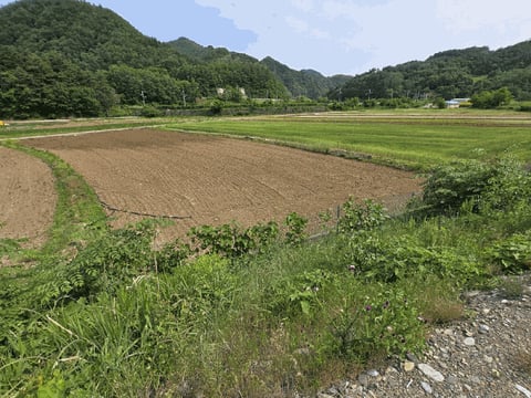 물건 사진 26