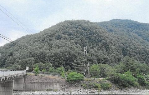 물건 사진 7