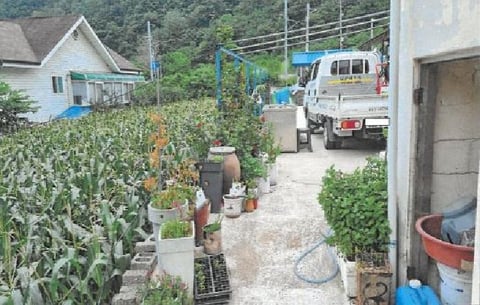 물건 사진 9