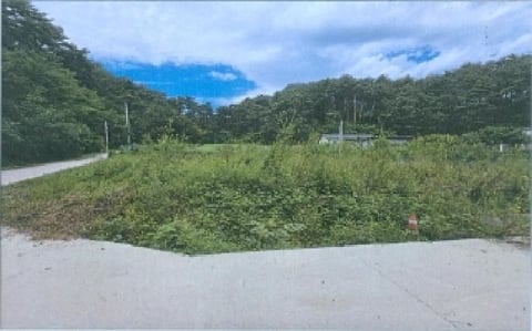 물건 사진 3
