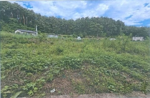물건 사진 1