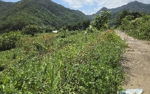 물건 사진 1
