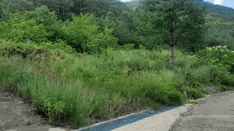 물건 사진 15