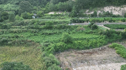 물건 사진 13