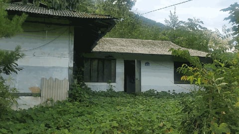 물건 사진 16