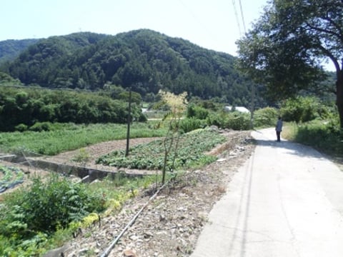 물건 사진 1