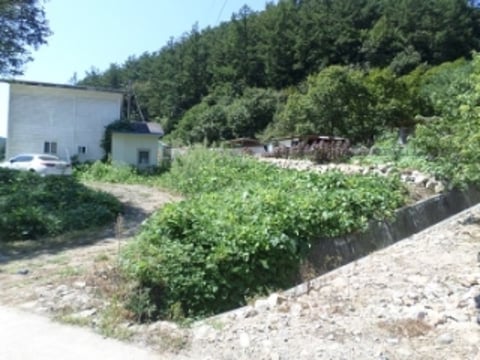 물건 사진 5