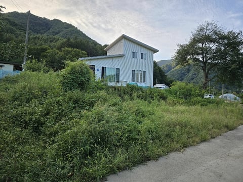 물건 사진 8