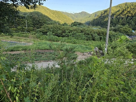 물건 사진 10