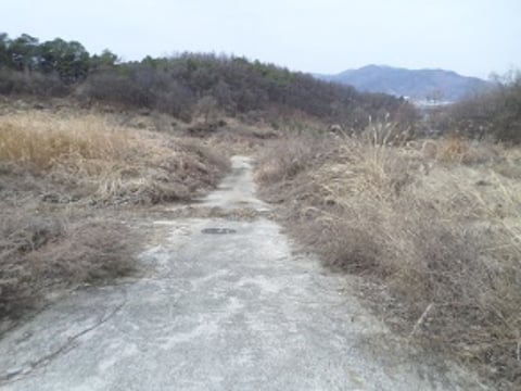 물건 사진 11