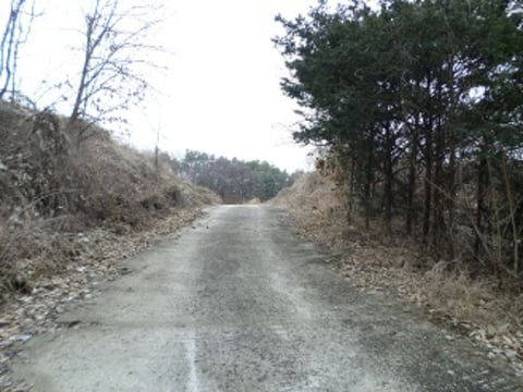 물건 사진 13