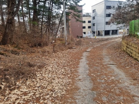 물건 사진 17