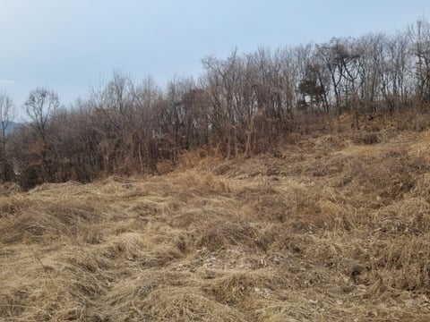 물건 사진 20