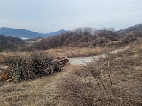 물건 사진 21