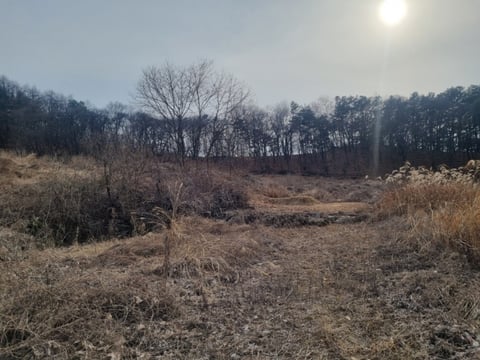 물건 사진 22