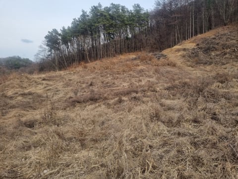 물건 사진 23