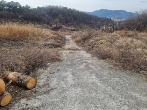 물건 사진 25