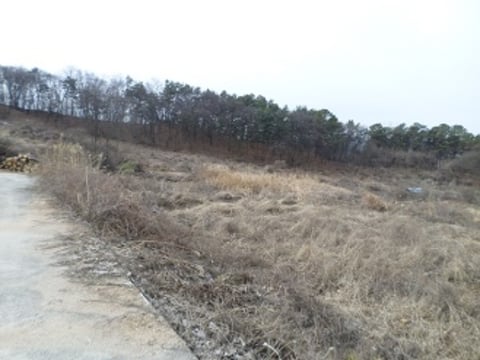 물건 사진 5