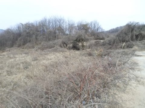물건 사진 6
