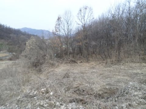 물건 사진 9