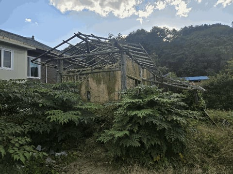 물건 사진 15