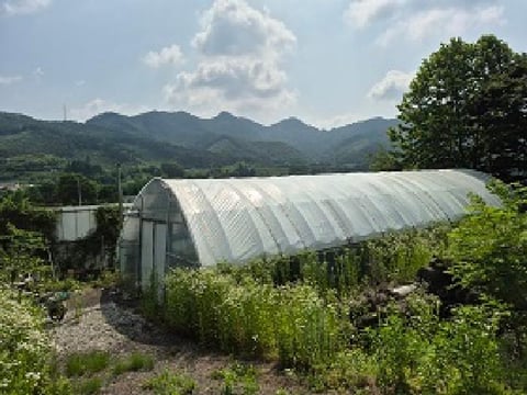 물건 사진 16
