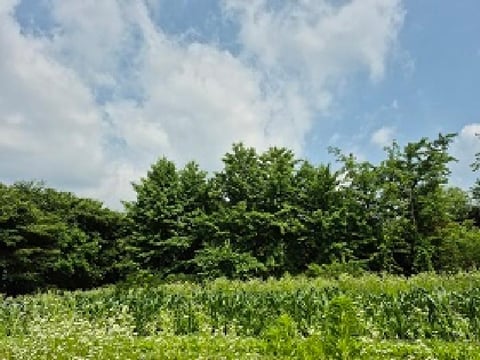 물건 사진 18