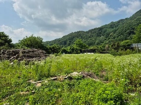 물건 사진 15