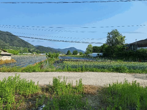 물건 사진 27