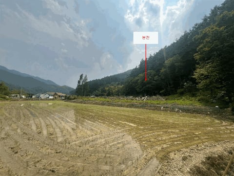 물건 사진 11