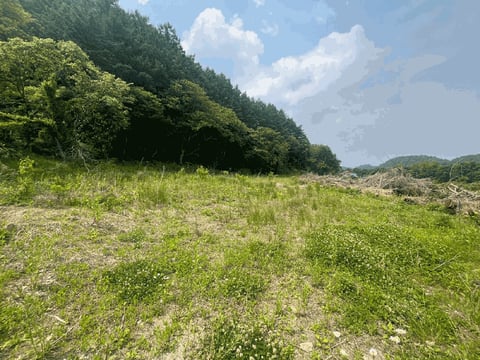 물건 사진 17
